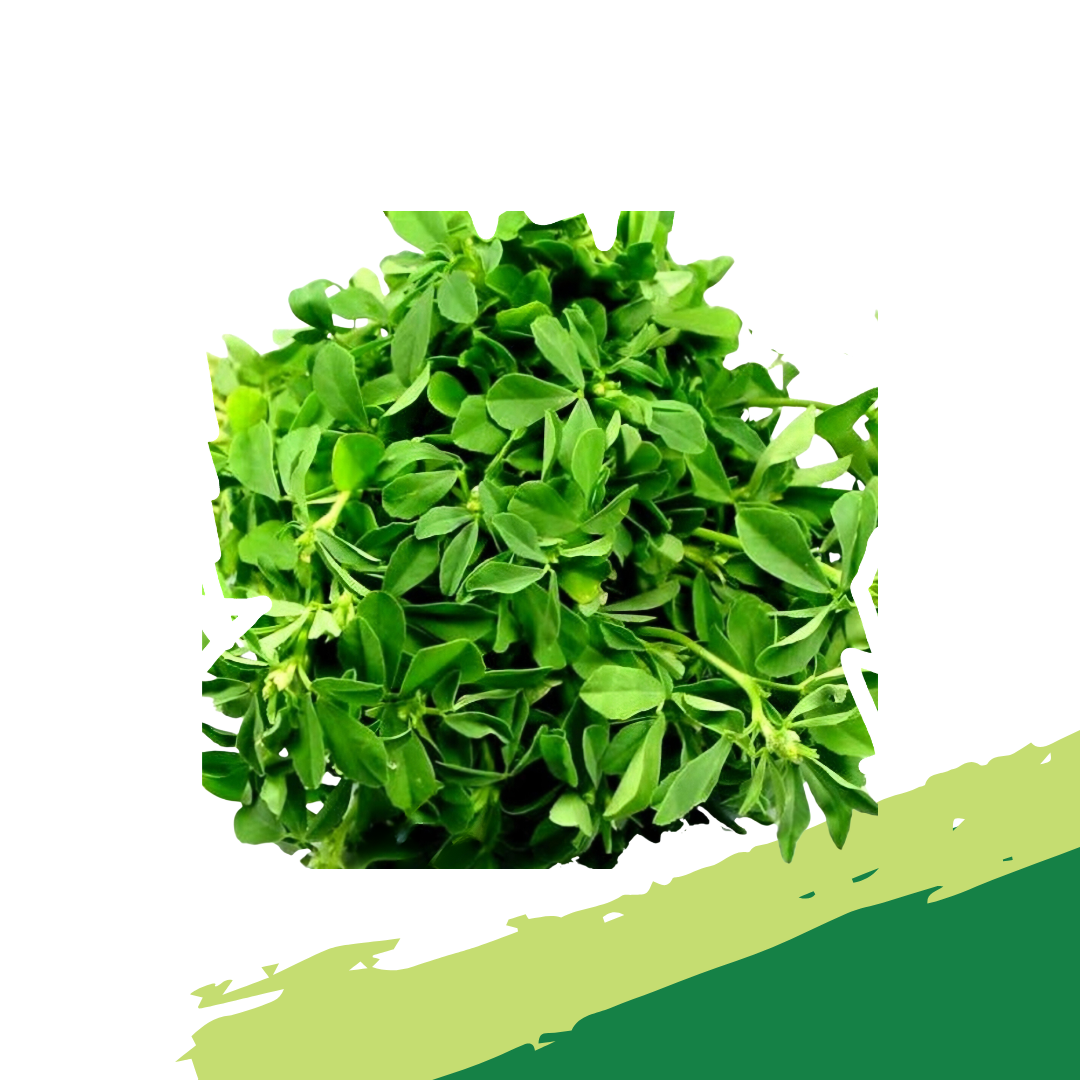 Fresh Waterleaf