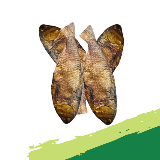 Bonga Fish