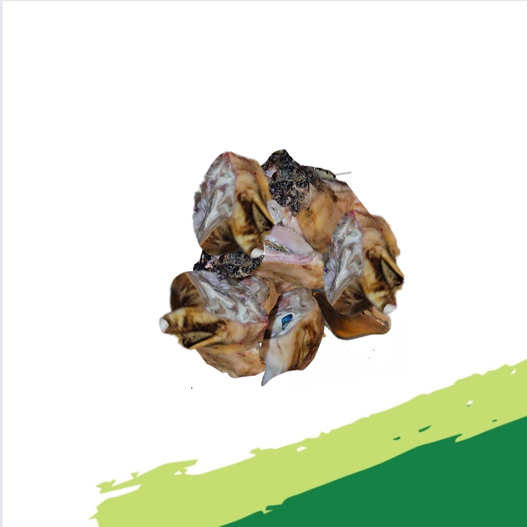 Cow Head (small)