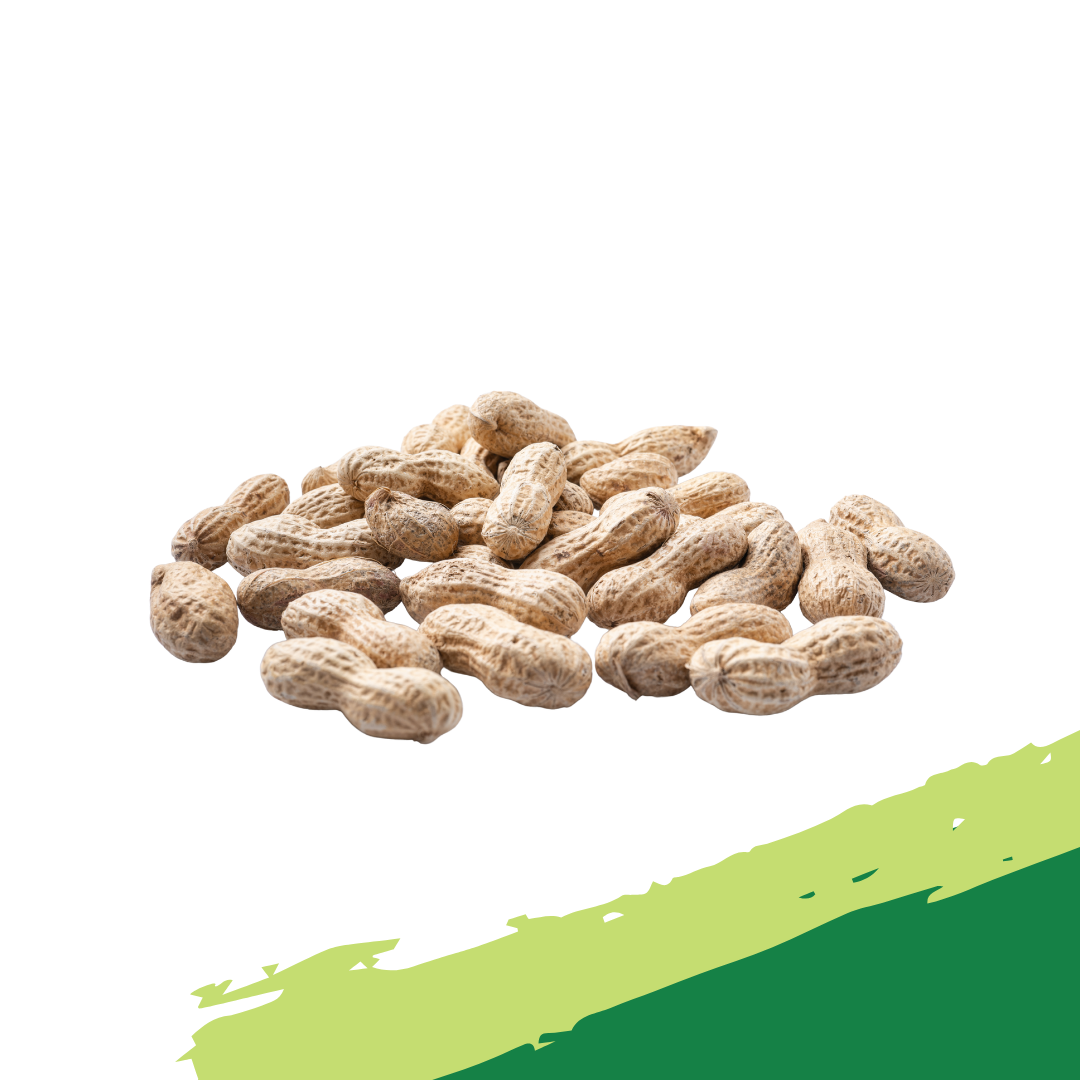 Fresh (Raw) Groundnuts 500g