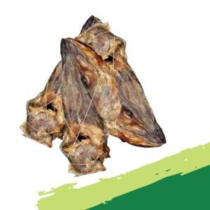 Stockfish Apama Head