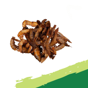 Dried Shrimps