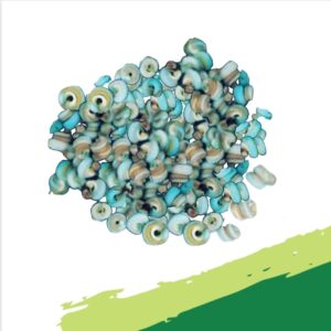 Periwinkles - Fresh 250G