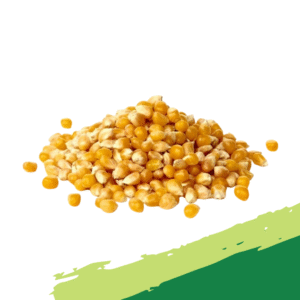 Yellow Corn 500G