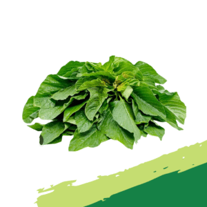 Fresh Green (Tete) Leaf