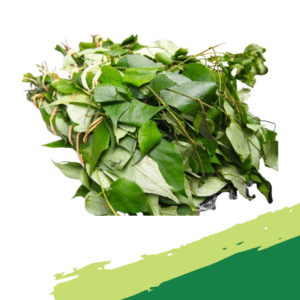 Fresh Uziza/Etinkene