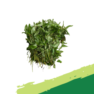 Fresh Ewedu Leaves