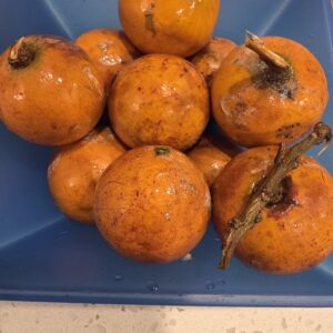 Agbalumo/Udara