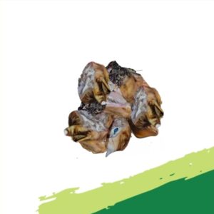 Full Cow Head (with tongue)