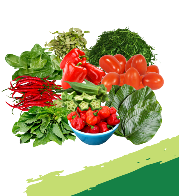 Fresh Vegetables & Seasonal Produce